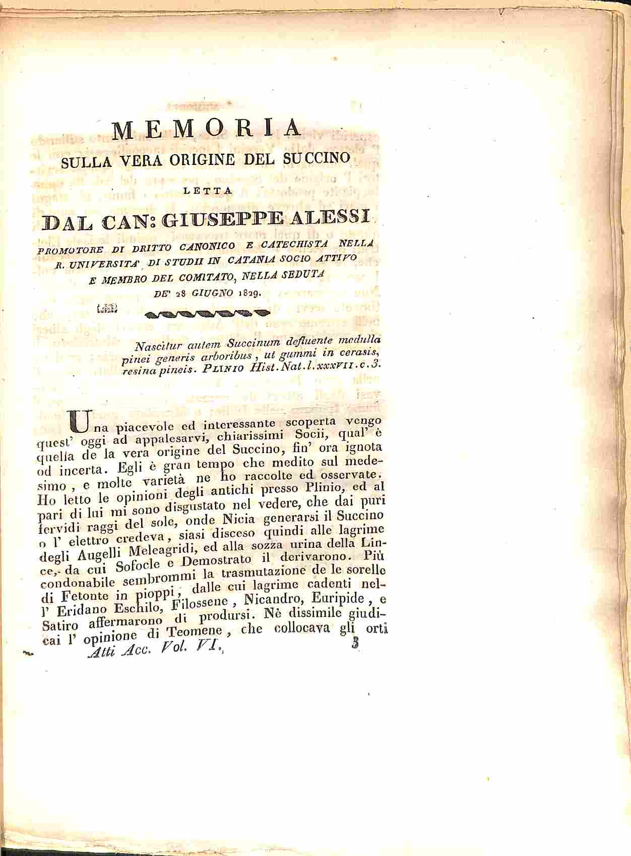 Memoria sulla vera origine del succino